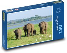Slon indický - Srí Lanka, zvíře Puzzle 130 dílků - 28,7 x 20 cm