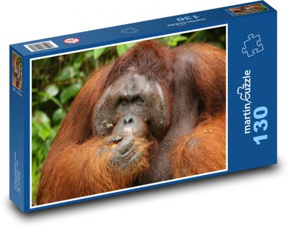 Orangutan - opice, zvíře - Puzzle 130 dílků, rozměr 28,7x20 cm