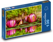 Lekníny - růžové květy, voda Puzzle 130 dílků - 28,7 x 20 cm