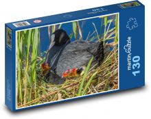 Lyska - pták, hnízdo Puzzle 130 dílků - 28,7 x 20 cm