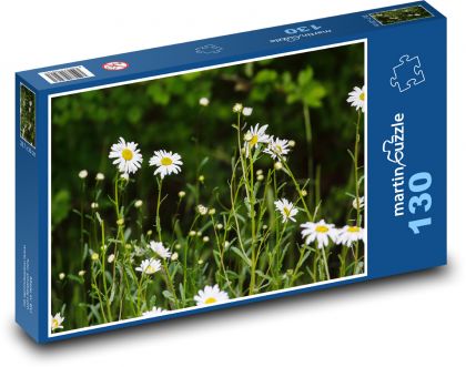 Dandelion - flower, meadow flower - Puzzle 130 pieces, size 28.7x20 cm 