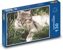 Cat - pet, whiskers Puzzle 130 pieces - 28.7 x 20 cm 