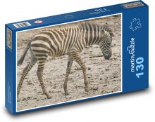 Zebra - cub, animal Puzzle 130 pieces - 28.7 x 20 cm 