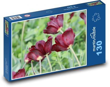 Kvetoucí tulipány - květiny, zahrada - Puzzle 130 dílků, rozměr 28,7x20 cm