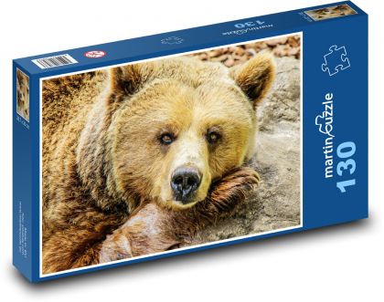 Medvěd hnědý - zvíře, zoo - Puzzle 130 dílků, rozměr 28,7x20 cm