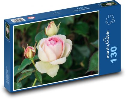 Roses - flower, garden - Puzzle 130 pieces, size 28.7x20 cm 