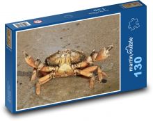 Krab - pláž, mäkkýše Puzzle 130 dielikov - 28,7 x 20 cm 