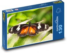 Motýl - exotický hmyz, křídla Puzzle 130 dílků - 28,7 x 20 cm