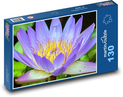 Water lily - flower, flower - Puzzle 130 pieces, size 28.7x20 cm 