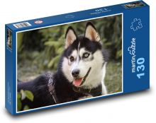 Husky - pes, domácí zvíře Puzzle 130 dílků - 28,7 x 20 cm