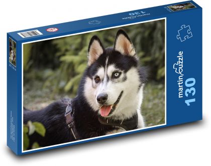 Husky - pes, domácí zvíře - Puzzle 130 dílků, rozměr 28,7x20 cm