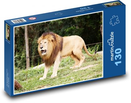 Lion - animal, king of the jungle - Puzzle 130 pieces, size 28.7x20 cm 