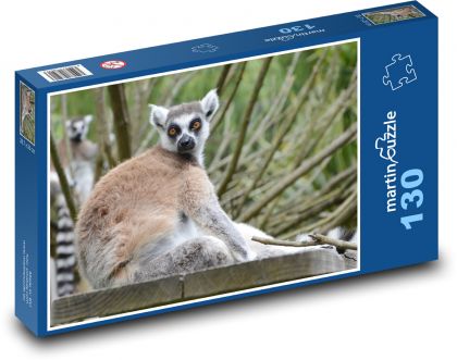 Lemur madagaskarski - zwierzęcy, ssak - Puzzle 130 elementów, rozmiar 28,7x20 cm