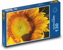 Sunflower - yellow flower, plant Puzzle 130 pieces - 28.7 x 20 cm 