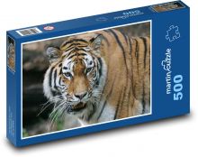 Tiger Puzzle 500 dielikov - 46 x 30 cm 