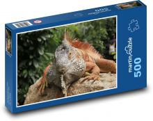 Iguana Puzzle 500 dielikov - 46 x 30 cm 