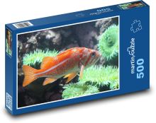 Oranžová ryba na korálovém útesu Puzzle 500 - 46x30 cm