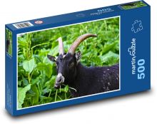 Black goat with big horns Puzzle of 500 pieces - 46 x 30 cm