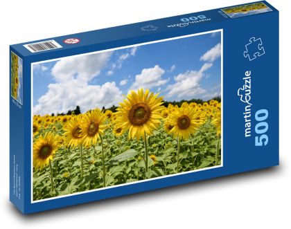 Sunflower field - Puzzle of 500 pieces, size 46x30 cm 