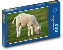 Lamb - spring, nature Puzzle of 500 pieces - 46 x 30 cm 