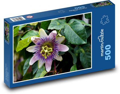 Passion fruit - purple flower - Puzzle of 500 pieces, size 46x30 cm 