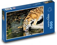 Tiger - predator, thirsty Puzzle of 500 pieces - 46 x 30 cm 