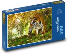 Tiger - dravec, mačka Puzzle 500 dielikov - 46 x 30 cm 