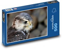 Falcon - predator, bird Puzzle of 500 pieces - 46 x 30 cm 