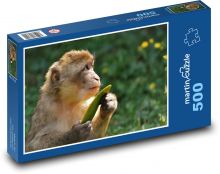 Makak - opice, zvíře Puzzle 500 dílků - 46 x 30 cm