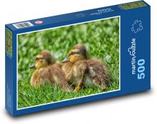 Ducklings - birds, chicks Puzzle of 500 pieces - 46 x 30 cm 