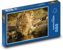 Gepard - zviera Puzzle 500 dielikov - 46 x 30 cm 