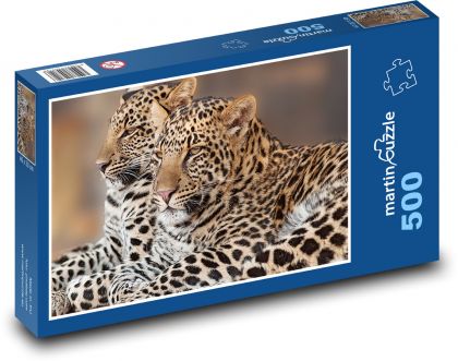 Leopard - mládě, Afrika - Puzzle 500 dílků, rozměr 46x30 cm