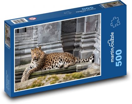 Leopard - šelma, zvíře - Puzzle 500 dílků, rozměr 46x30 cm