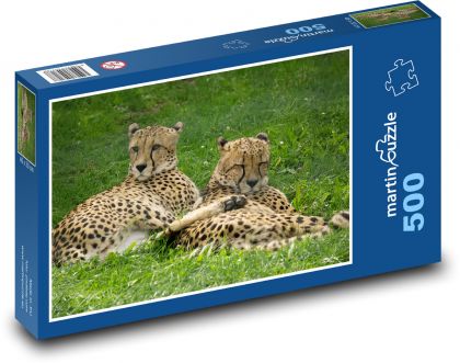 Gepard - divoká kočka, zvíře - Puzzle 500 dílků, rozměr 46x30 cm