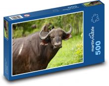 Buffalo - Africa, safari Puzzle of 500 pieces - 46 x 30 cm 