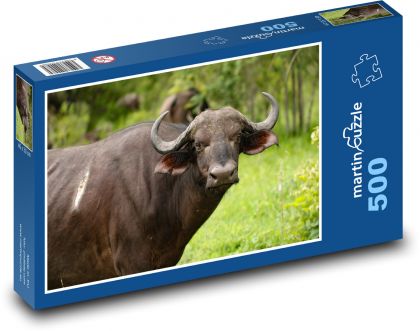 Buffalo - Africa, safari - Puzzle of 500 pieces, size 46x30 cm 