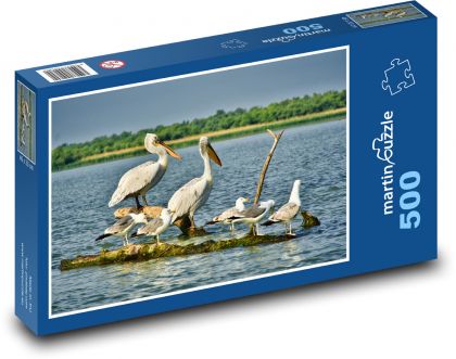 Pelicans - seagulls, water birds - Puzzle of 500 pieces, size 46x30 cm 