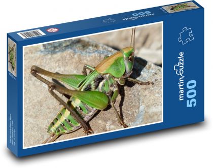 Grasshopper - green grasshopper, insects - Puzzle of 500 pieces, size 46x30 cm 