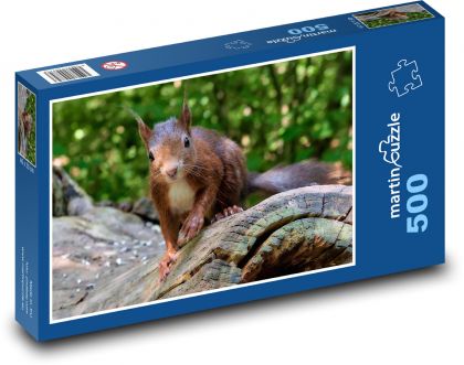 Rodent - Brown Squirrel - Puzzle of 500 pieces, size 46x30 cm 