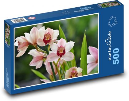 Orchideje - pokojová květina, okvětní lístky - Puzzle 500 dílků, rozměr 46x30 cm