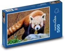 Panda czerwona - zwierzę. ogród zoologiczny Puzzle 500 elementów - 46x30 cm