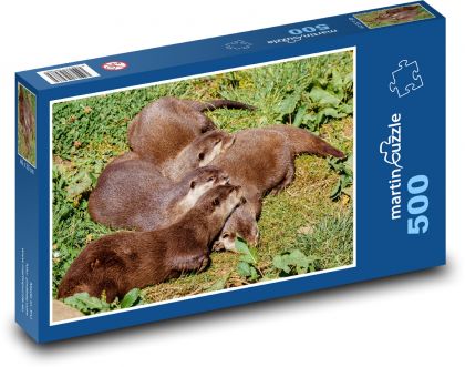 Sleeping otters - animals, rest - Puzzle of 500 pieces, size 46x30 cm 