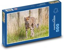 Gepard - velká kočka, lov Puzzle 500 dílků - 46 x 30 cm