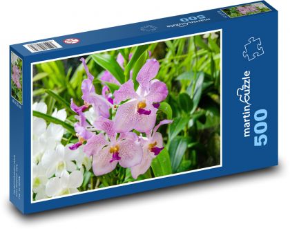 Růžová orchidej - květ, rostlina - Puzzle 500 dílků, rozměr 46x30 cm