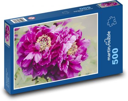 Purple peony - flower, garden - Puzzle of 500 pieces, size 46x30 cm 