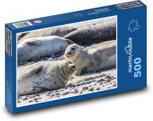 Seal - animal, beach Puzzle of 500 pieces - 46 x 30 cm 