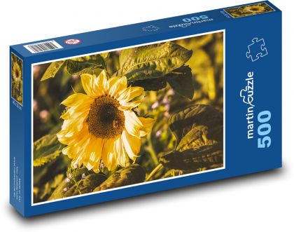 Sunflower - yellow flower, petals - Puzzle of 500 pieces, size 46x30 cm 