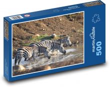 Zebra - savannah, Africa Puzzle of 500 pieces - 46 x 30 cm 