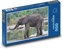 Slon - safari, zviera Puzzle 500 dielikov - 46 x 30 cm 