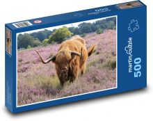 Cow - animal, cattle Puzzle of 500 pieces - 46 x 30 cm 